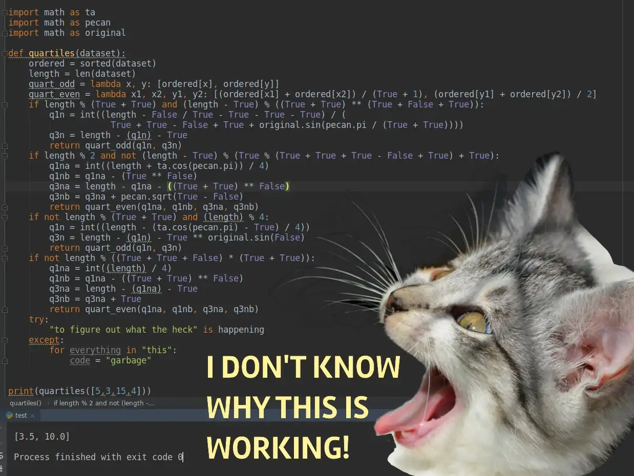Frusterated cat in front of bad code that still works